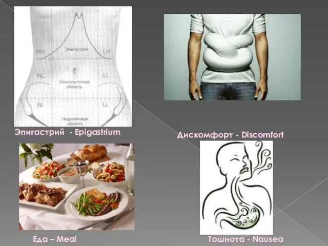 Эпигастрий - Epigastrium Дискомфорт - Discomfort Еда – Meal Тошнота - Nausea