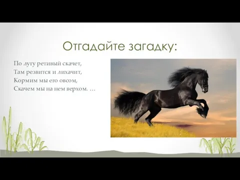 Отгадайте загадку: По лугу ретивый скачет, Там резвится и лихачит, Кормим мы