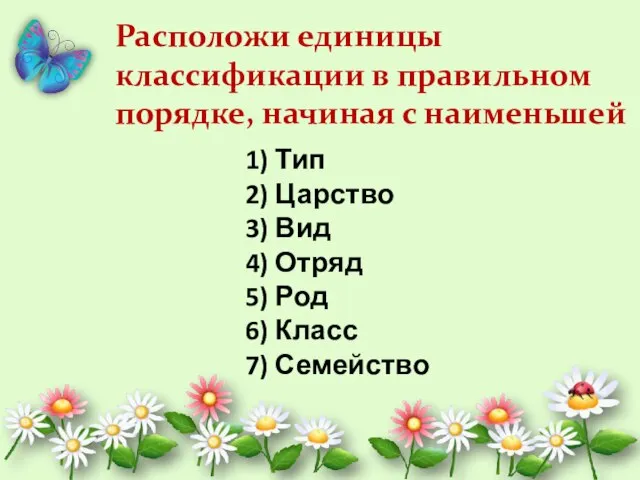 Расположи единицы классификации в правильном порядке, начиная с наименьшей 1) Тип 2)