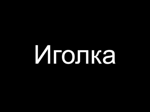 Иголка