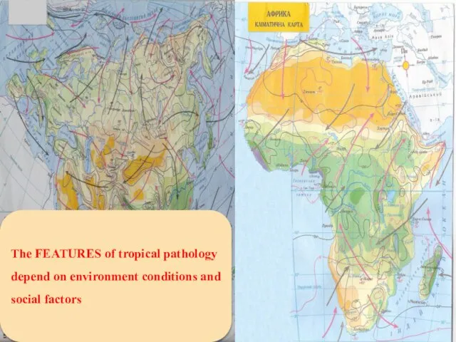 The FEATURES of tropical pathology depend on environment conditions and social factors