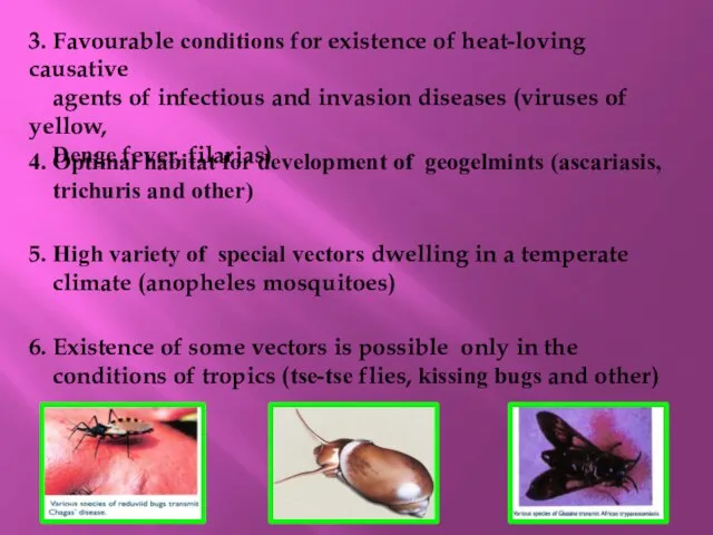 3. Favourable conditions for existence of heat-loving causative agents of infectious and