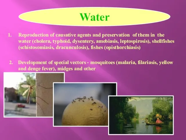 Water Reproduction of causative agents and preservation of them in the water