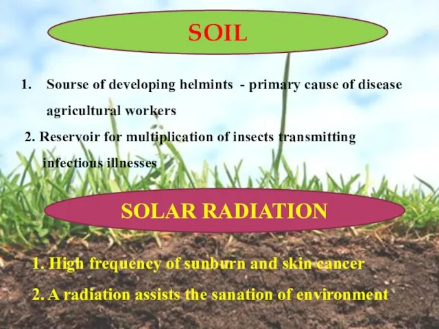 SOIL Sourse of developing helmints - primary cause of disease agricultural workers