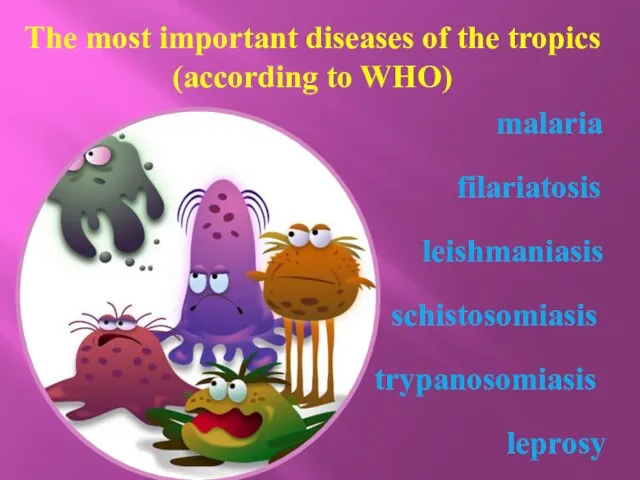 The most important diseases of the tropics (according to WHO) malaria filariatosis leishmaniasis leprosy schistosomiasis trypanosomiasis
