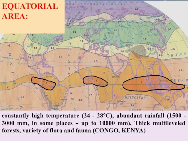 EQUATORIAL AREA: constantly high temperature (24 - 28°С), abundant rainfall (1500 -
