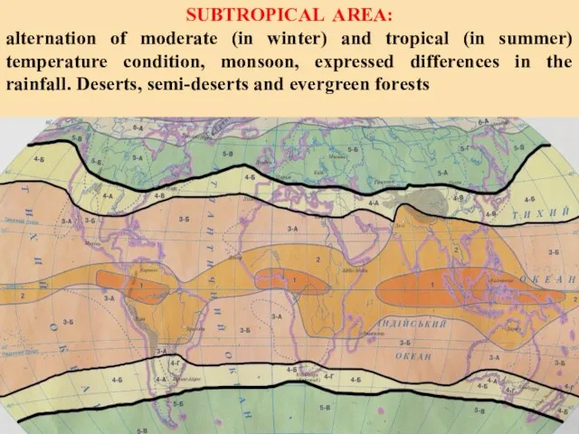 SUBTROPICAL AREA: alternation of moderate (in winter) and tropical (in summer) temperature