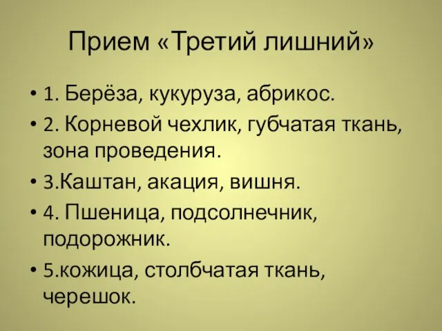 Прием «Третий лишний» 1. Берёза, кукуруза, абрикос. 2. Корневой чехлик, губчатая ткань,