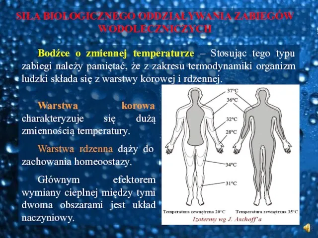 SIŁA BIOLOGICZNEGO ODDZIAŁYWANIA ZABIEGÓW WODOLECZNICZYCH Warstwa korowa charakteryzuje się dużą zmiennością temperatury.