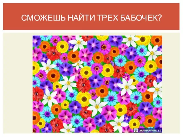 СМОЖЕШЬ НАЙТИ ТРЕХ БАБОЧЕК?