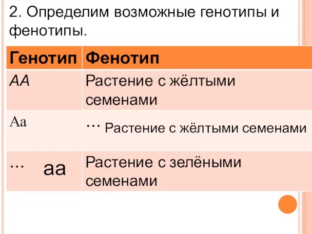 2. Определим возможные генотипы и фенотипы. Растение с жёлтыми семенами аа