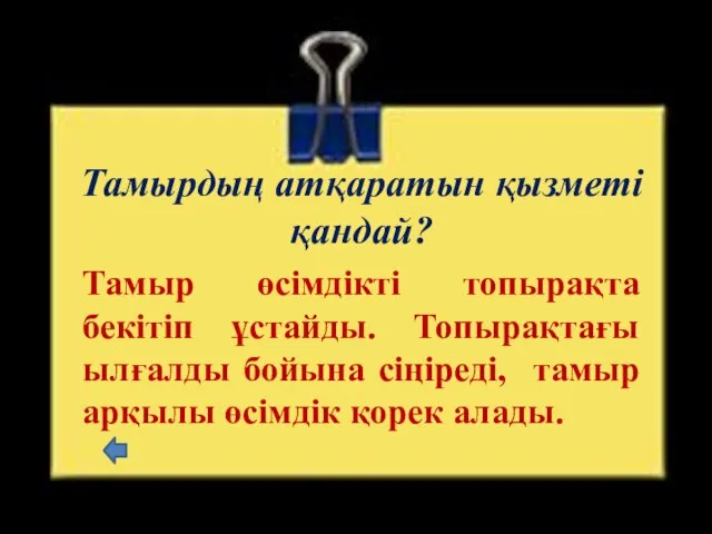 Тамырдың атқаратын қызметі қандай? Тамыр өсімдікті топырақта бекітіп ұстайды. Топырақтағы ылғалды бойына