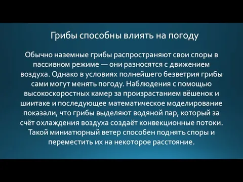 Грибы способны влиять на погоду Обычно наземные грибы распространяют свои споры в