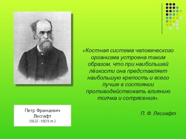 «Костная система человеческого организма устроена таким образом, что при наибольшей лёгкости она