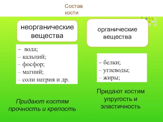 – белки; – углеводы; – жиры; – вода; – кальций; – фосфор;