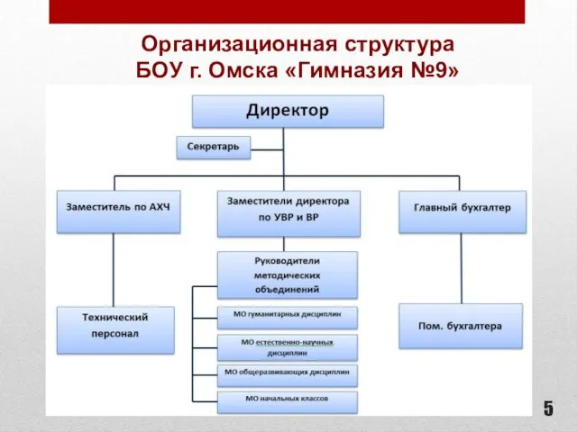 Организационная структура БОУ г. Омска «Гимназия №9»