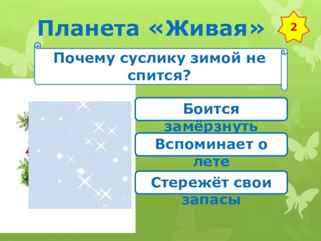 Планета «Живая» 2 Почему суслику зимой не спится? Боится замёрзнуть Вспоминает о лете Стережёт свои запасы