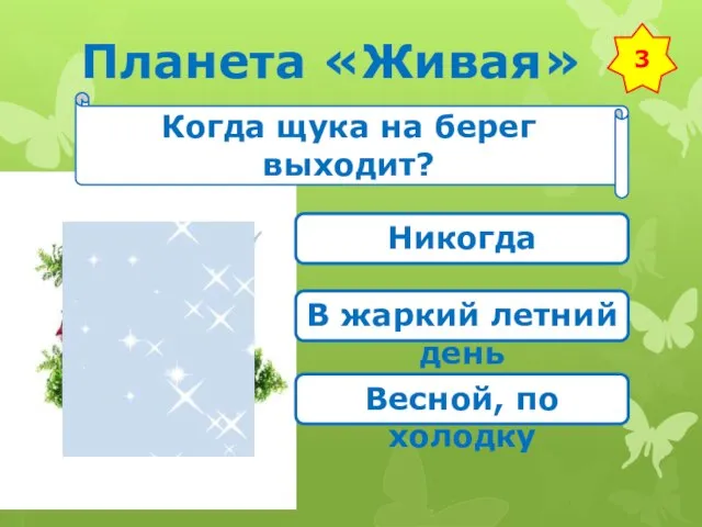 Планета «Живая» 3 Когда щука на берег выходит? Никогда В жаркий летний день Весной, по холодку