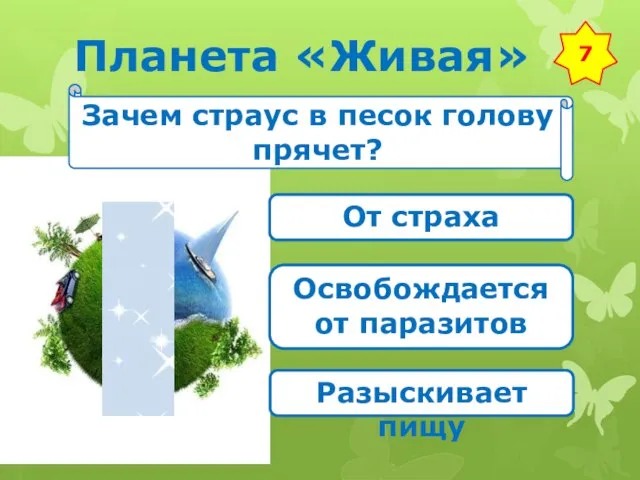 Планета «Живая» 7 Зачем страус в песок голову прячет? От страха Освобождается от паразитов Разыскивает пищу