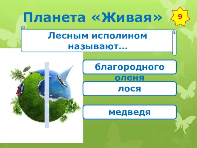 Планета «Живая» 9 Лесным исполином называют… благородного оленя лося медведя