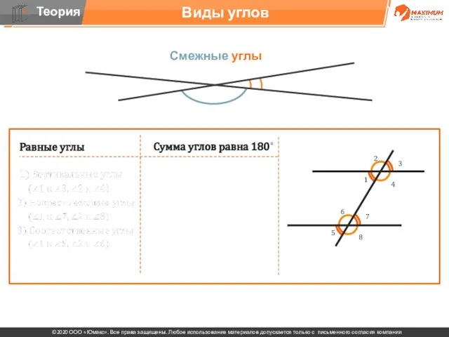 . Виды углов Смежные углы Равные углы Сумма углов равна 180˚