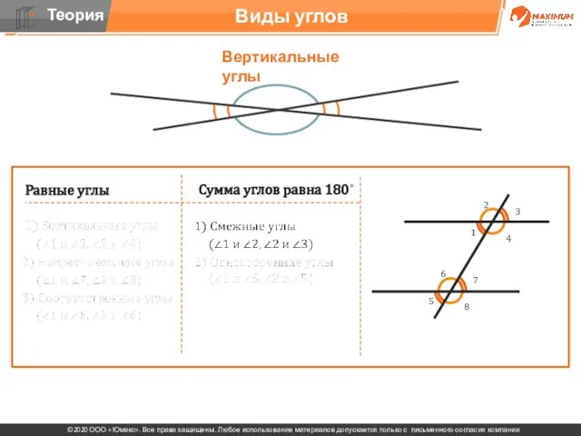 . Виды углов Вертикальные углы Равные углы Сумма углов равна 180˚