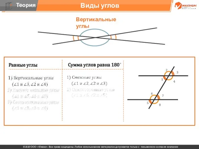 . Виды углов Вертикальные углы Равные углы Сумма углов равна 180˚