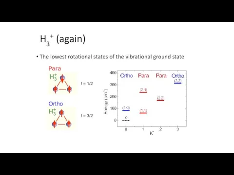 H3+ (again) The lowest rotational states of the vibrational ground state Para