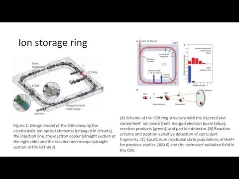 Ion storage ring Figure 1: Design model of the CSR showing the