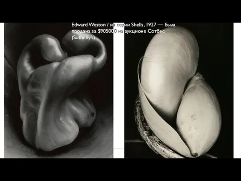 Edward Weston / из серии Shells, 1927 — была продана за $905000 на аукционе Сотбис (Sotheby’s)