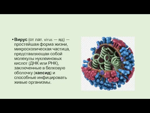 Вирус (от лат. virus — яд) — простейшая форма жизни, микроскопическая частица,