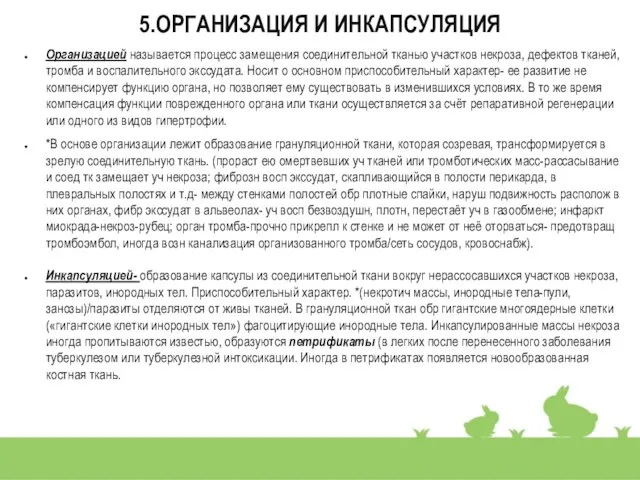 5.ОРГАНИЗАЦИЯ И ИНКАПСУЛЯЦИЯ Организацией называется процесс замещения соединительной тканью участков некроза, дефектов