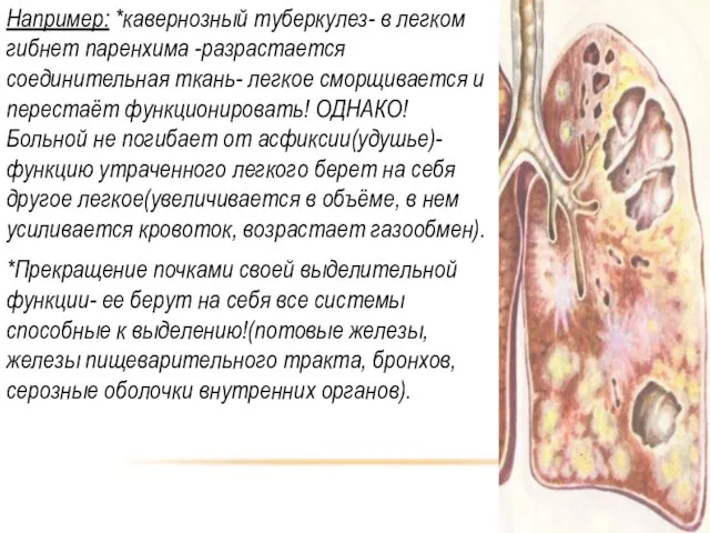 Например: *кавернозный туберкулез- в легком гибнет паренхима -разрастается соединительная ткань- легкое сморщивается