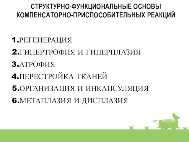 СТРУКТУРНО-ФУНКЦИОНАЛЬНЫЕ ОСНОВЫ КОМПЕНСАТОРНО-ПРИСПОСОБИТЕЛЬНЫХ РЕАКЦИЙ 1.РЕГЕНЕРАЦИЯ 2.ГИПЕРТРОФИЯ И ГИПЕРПЛАЗИЯ 3.АТРОФИЯ 4.ПЕРЕСТРОЙКА ТКАНЕЙ 5.ОРГАНИЗАЦИЯ