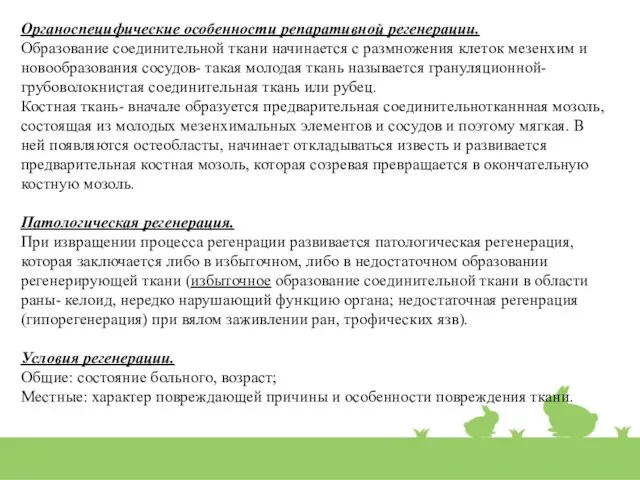 Органоспецифические особенности репаративной регенерации. Образование соединительной ткани начинается с размножения клеток мезенхим