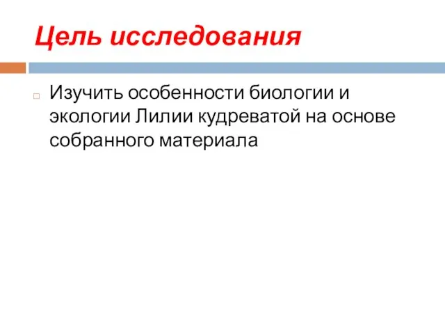 Цель исследования Изучить особенности биологии и экологии Лилии кудреватой на основе собранного материала