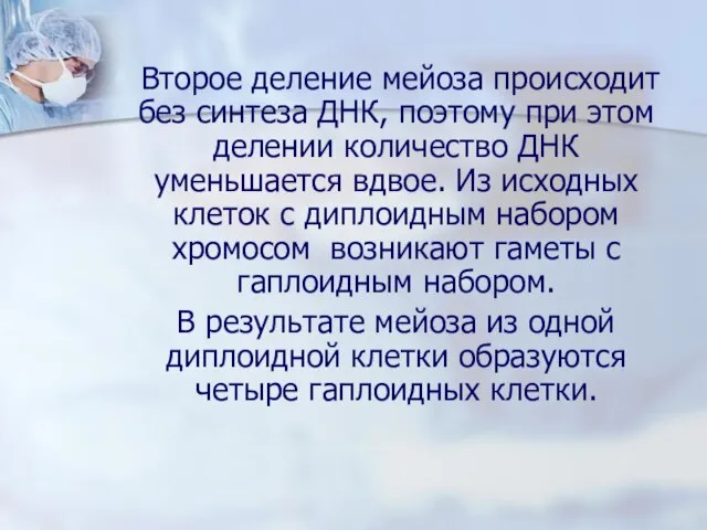 Второе деление мейоза происходит без синтеза ДНК, поэтому при этом делении количество