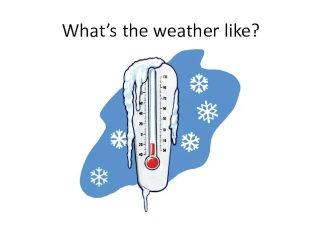 What’s the weather like?