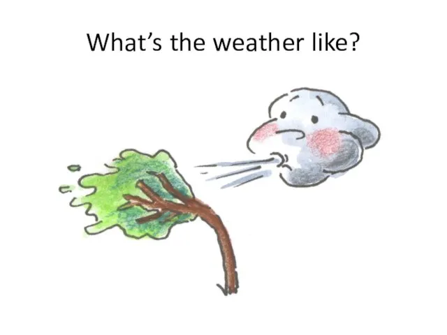 What’s the weather like?