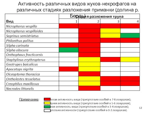 Активность различных видов жуков-некрофагов на различных стадиях разложения приманки (долина р. Бердь)