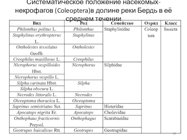 Систематическое положение насекомых-некрофагов (Coleoptera)в долине реки Бердь в её среднем течении