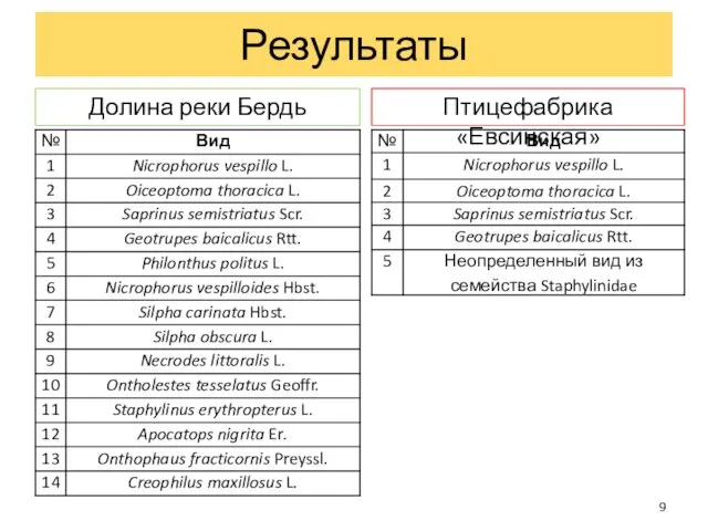 Долина реки Бердь Птицефабрика «Евсинская» Результаты