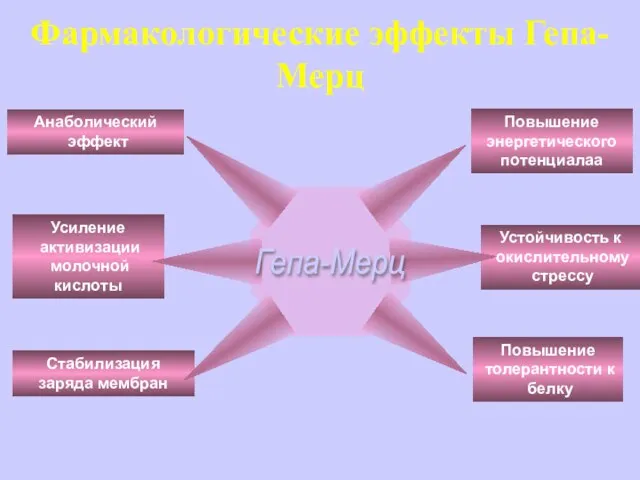 Повышение энергетического потенциалаа Устойчивость к окислительному стрессу Повышение толерантности к белку Анаболический