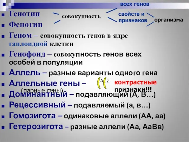 Генотип Фенотип Геном – совокупность генов в ядре гаплоидной клетки Генофонд –