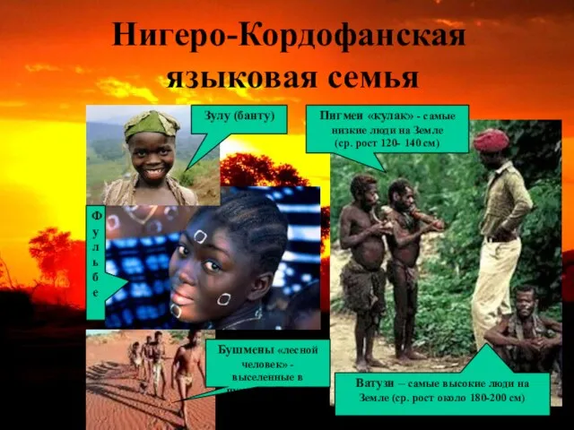 Нигеро-Кордофанская языковая семья Зулу (банту) Пигмеи «кулак» - самые низкие люди на