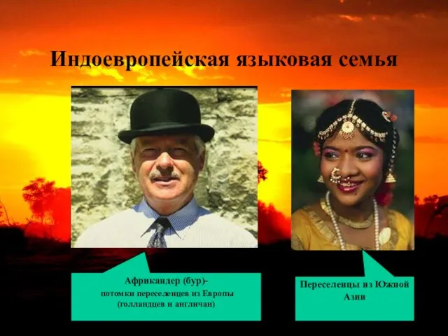 Индоевропейская языковая семья Африкандер (бур)- потомки переселенцев из Европы (голландцев и англичан) Переселенцы из Южной Азии