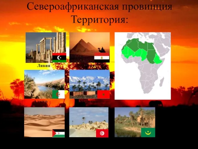 Североафриканская провинция Территория: Ливия Египет Тунис Алжир Морокко Западная Сахара Меньшая часть Мавритании