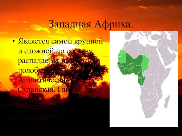 Западная Африка. Является самой крупной и сложной по составу, распадается на 3