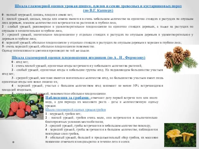 Шкала глазомерной оценки урожая шишек, плодов и семян древесных и кустарниковых пород