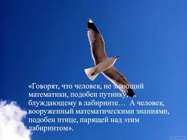 «Говорят, что человек, не знающий математики, подобен путнику, блуждающему в лабиринте… А